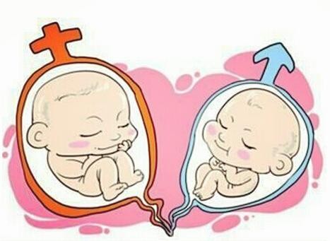 关于私人孕妈借卵代孕咨询微信号